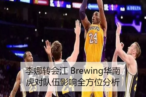 李娜转会江 Brewing华南虎对队伍影响全方位分析