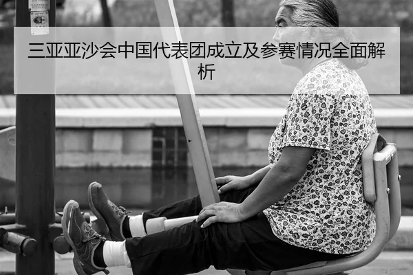 san-ya-ya-sha-hui-zhong-guo-dai-biao-tuan-cheng-li-ji-can-sai-qing-kuang-quan-mian-jie-xi-2-234.jpg