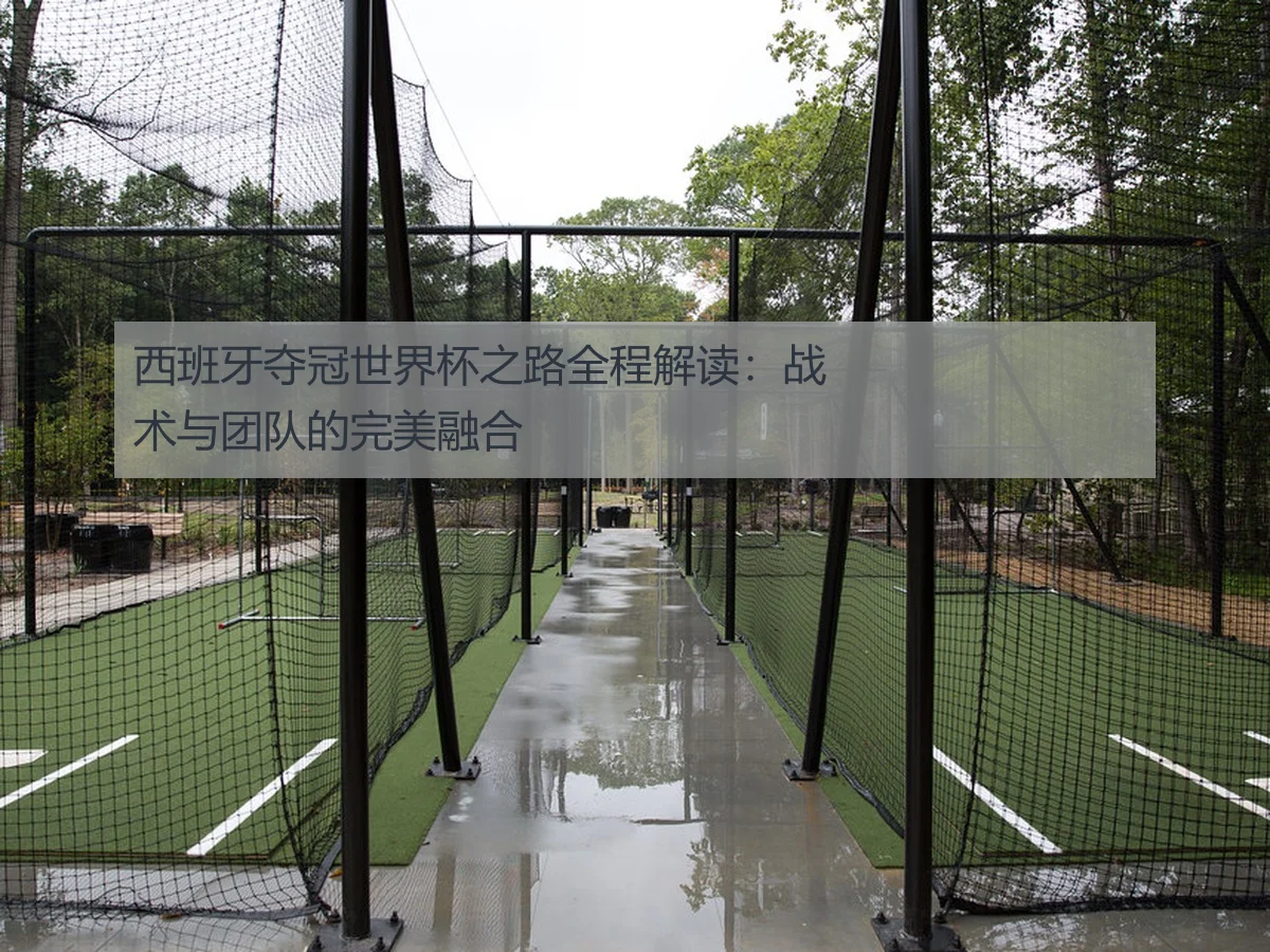 西班牙夺冠世界杯之路全程解读：战术与团队的完美融合